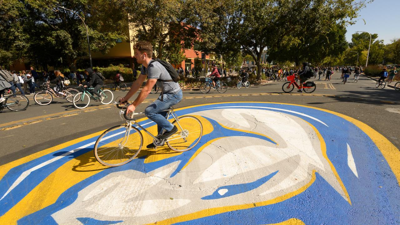 UC Davis bike circle
