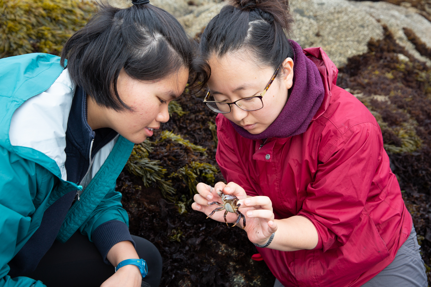 Stephane Tsui and Grace Ha look at a crab