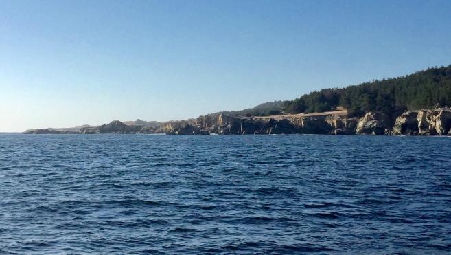 The same site at Ocean Cove in Sonoma County in 2016 after bull kelp were decimated