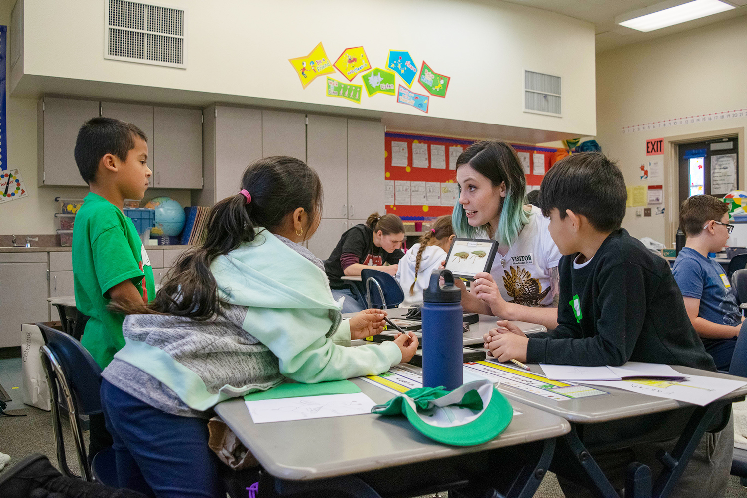 YSP volunteer shows students insect specimens