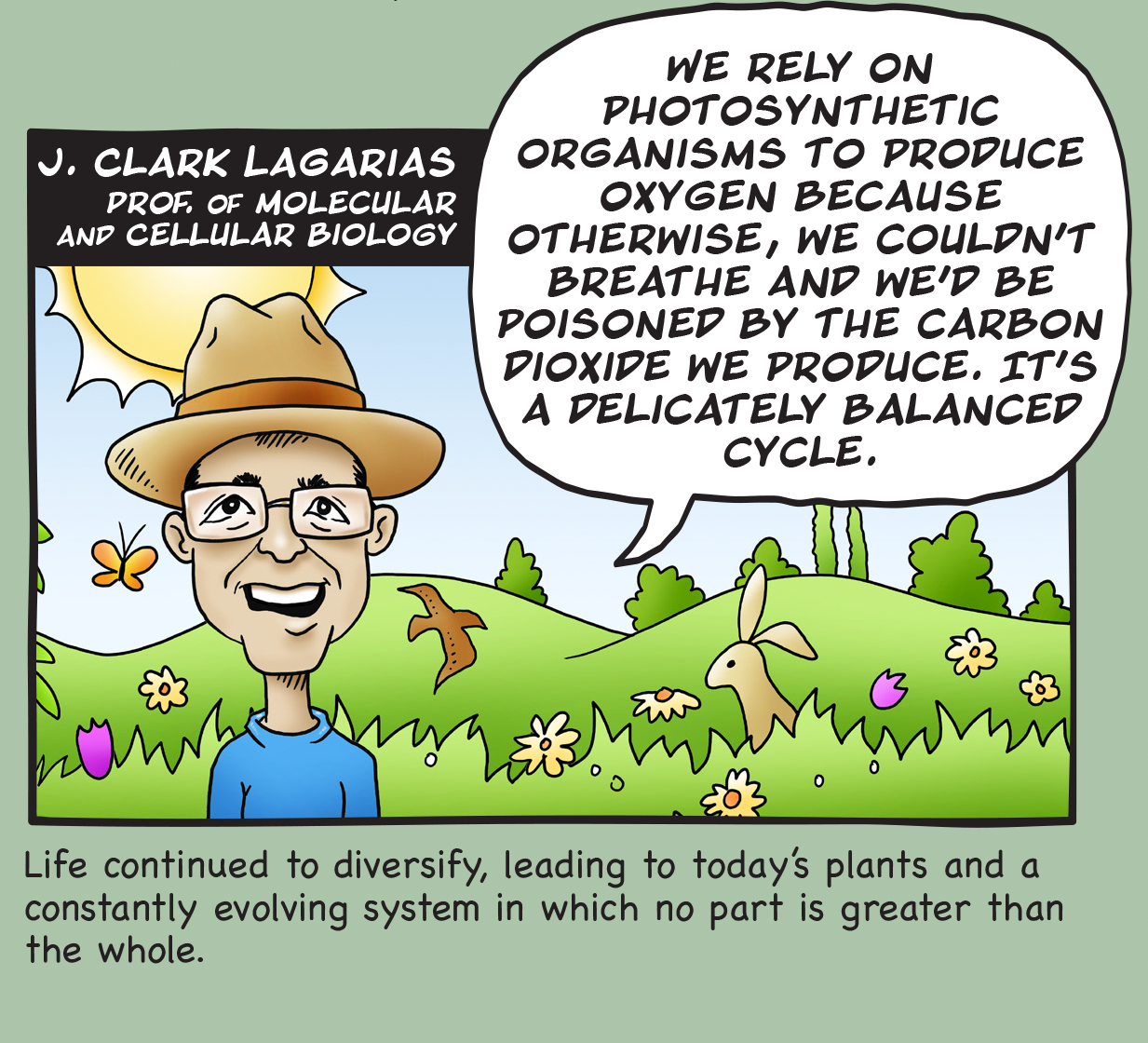 Life continued to diversify, leading to today's plants and a constantly evolving system in which no part is greater than the whole