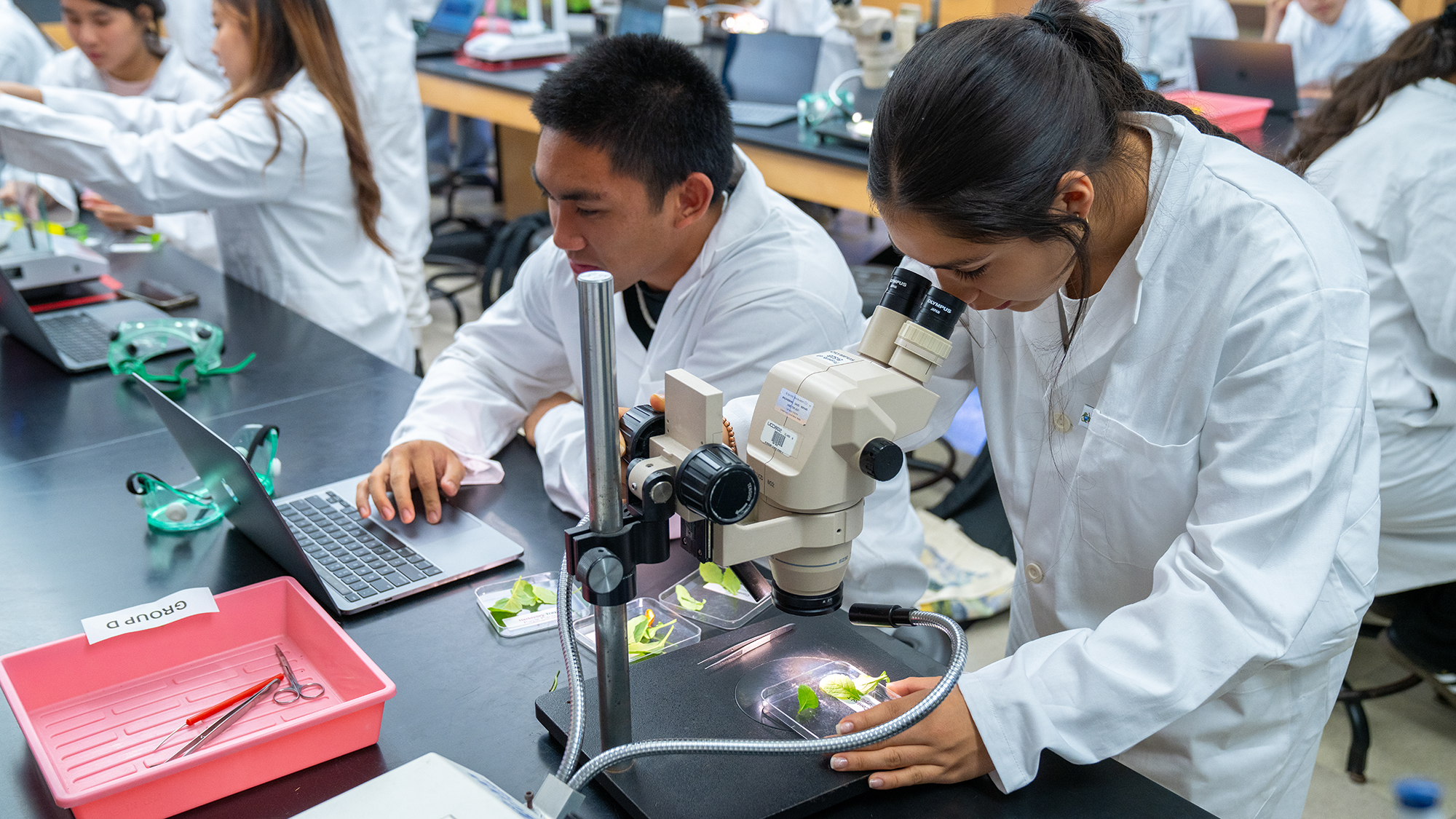 Student using microscope to examine plant samples while another works on a laptop in biology lab
