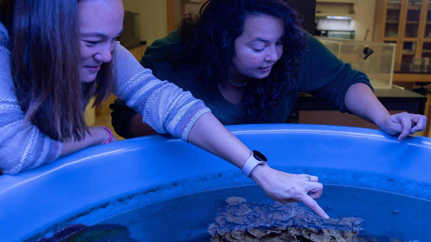 Two women leaning over a blue touch tank, one pointing at marine life