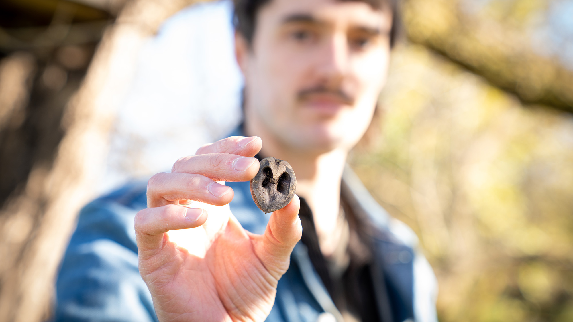 A close-up of a person holding a small, dark nut or seed, with the background slightly blurred to emphasize the object in their hand.