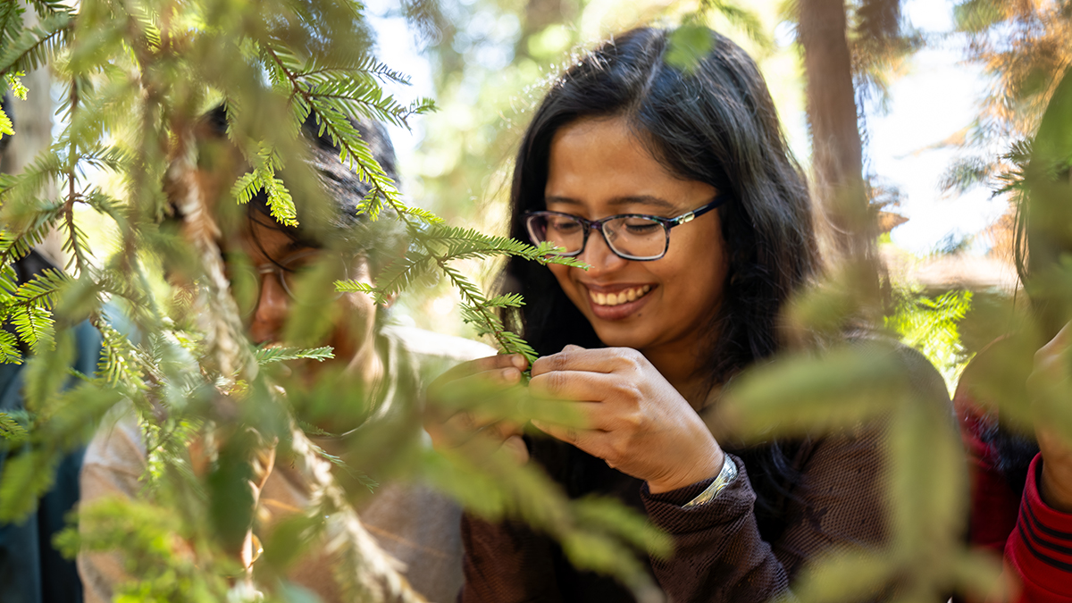 Smiling student examines a leafy branch in the arboretum while collecting samples for plant metabolite analysis.