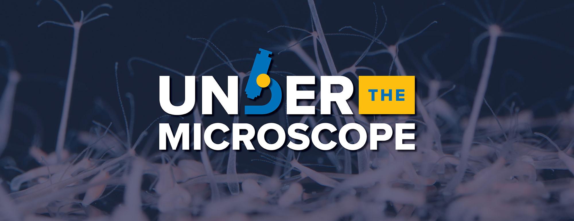 Banner image featuring the words 'Under the Microscope' in bold white text, with a microscope icon replacing the letter 'D' and a yellow box highlighting the word 'THE'; background shows magnified biological structures resembling hydra or similar microscopic organisms.