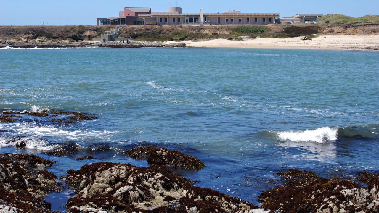 Bodega Marine Laboratory