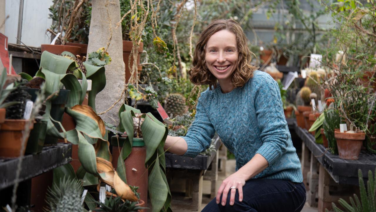 Assistant Professor Jennifer Gremer, Department of Evolution and Ecology, studies how climate change influences the life history of wildflowers. David Slipher/UC Davis Jennifer Gremer examines a plant