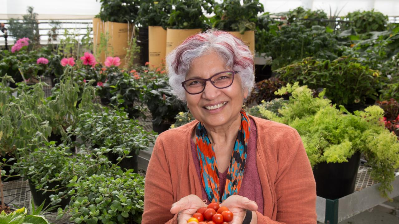 For her long-term contributions to the plant biology field, Sinha was recently honored by the American Society of Plant Biologists (ASPB) with a Fellow of ASPB Award, which recognizes distinguished members who have contributed to the society for at least 10 years. 