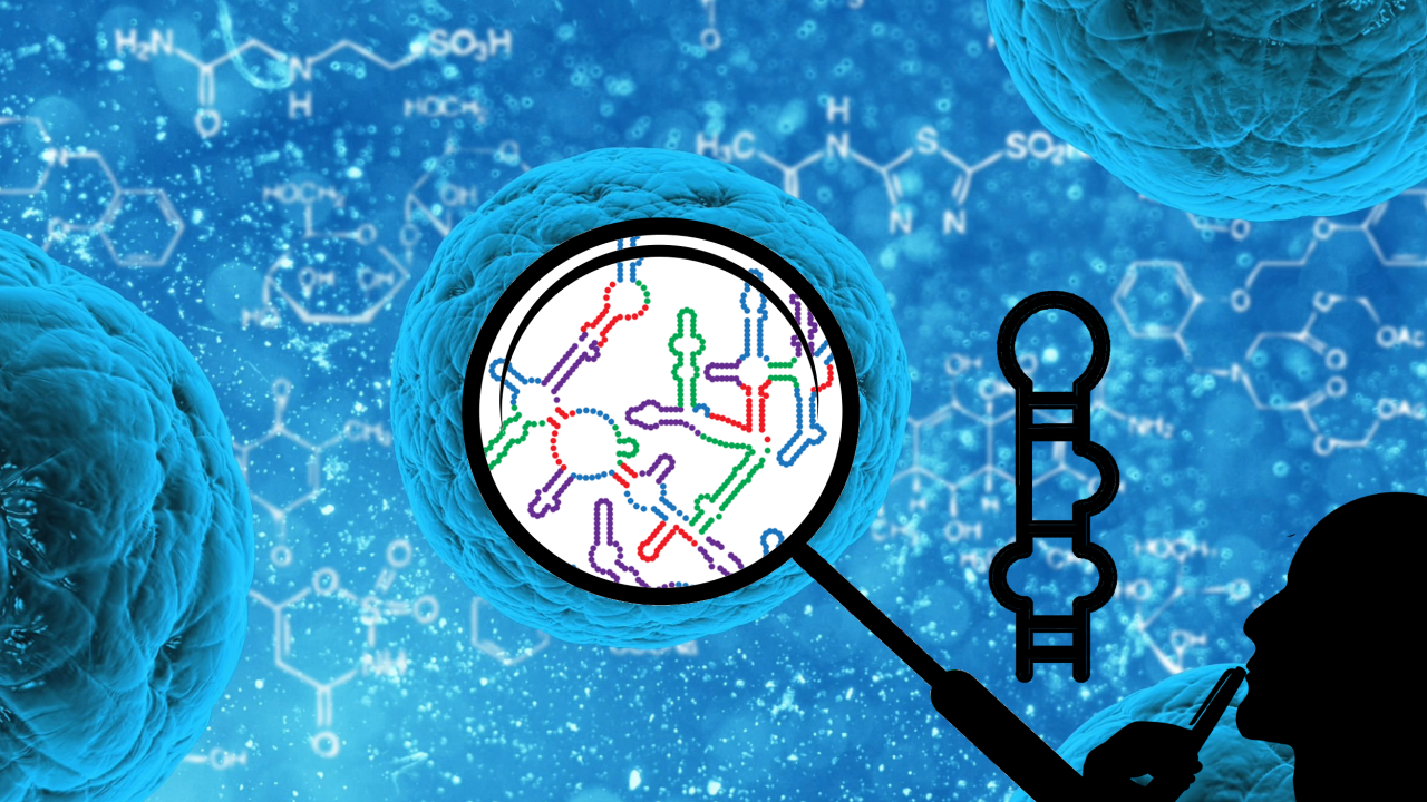 RNA is essential to all biological processes, and patteRNA rapidly mines RNA for specific structures, providing a new method to establish links between structure, function and disease. Pixabay.com and RiboVision  