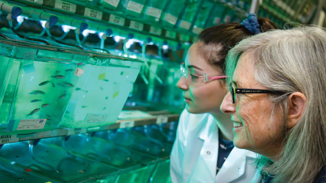 Graduate student Masuda Sharifi and Professor Sean Burgess