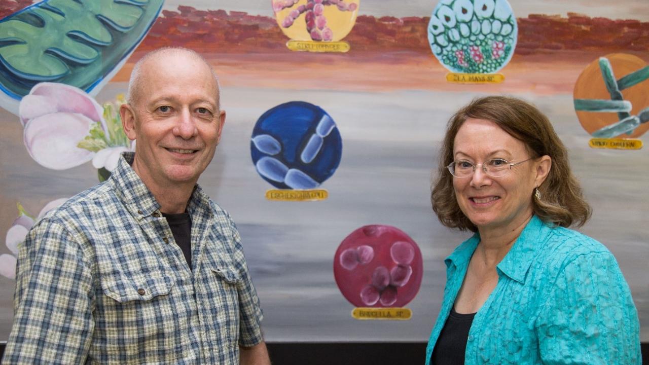 Professors Luca Comai and Michele Igo pose by a BIS 2A classroom mural. David Slipher/UC Davis Professors Luca Comai and Michele Igo pose by a BIS 2A classroom mural. David Slipher/UC Davis