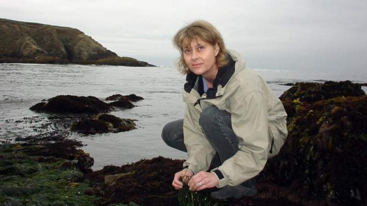 Williams was known for her passion for research, community engagement and mentorship. Courtesy photo Williams was known for her passion for research, community engagement and mentorship. Courtesy photo