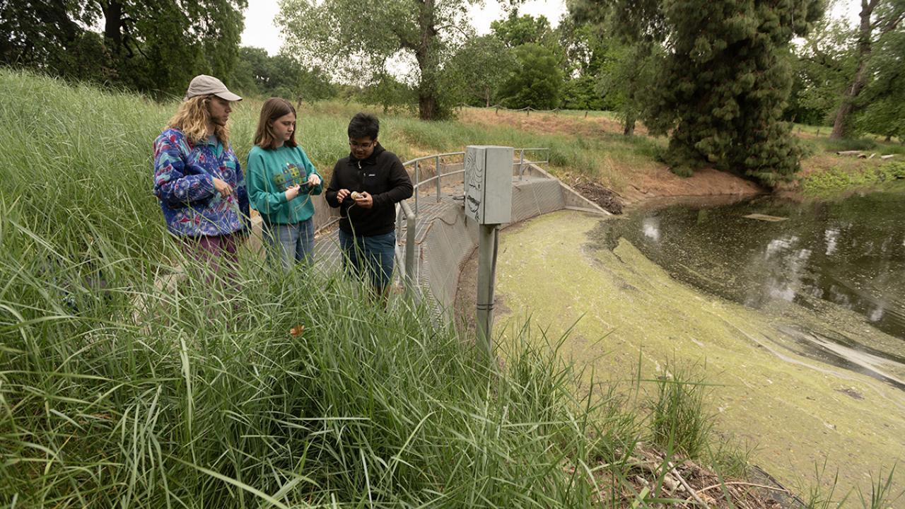 Three students standing outside near the arboretum waterway