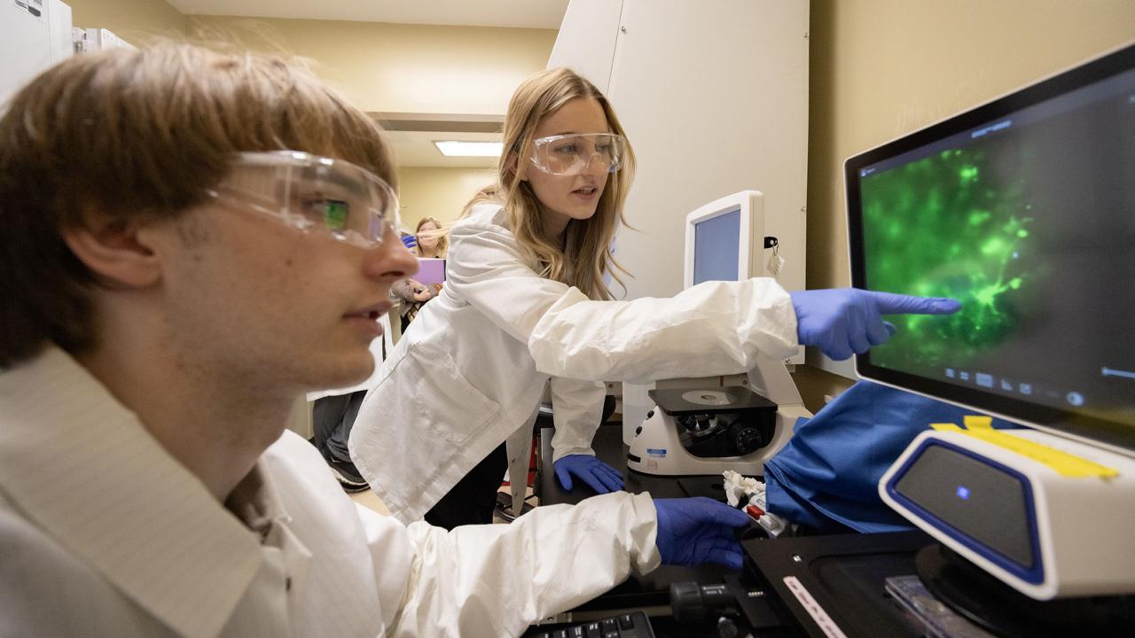 Two people in lab coats examine glowing green images on a computer screen in a lab.