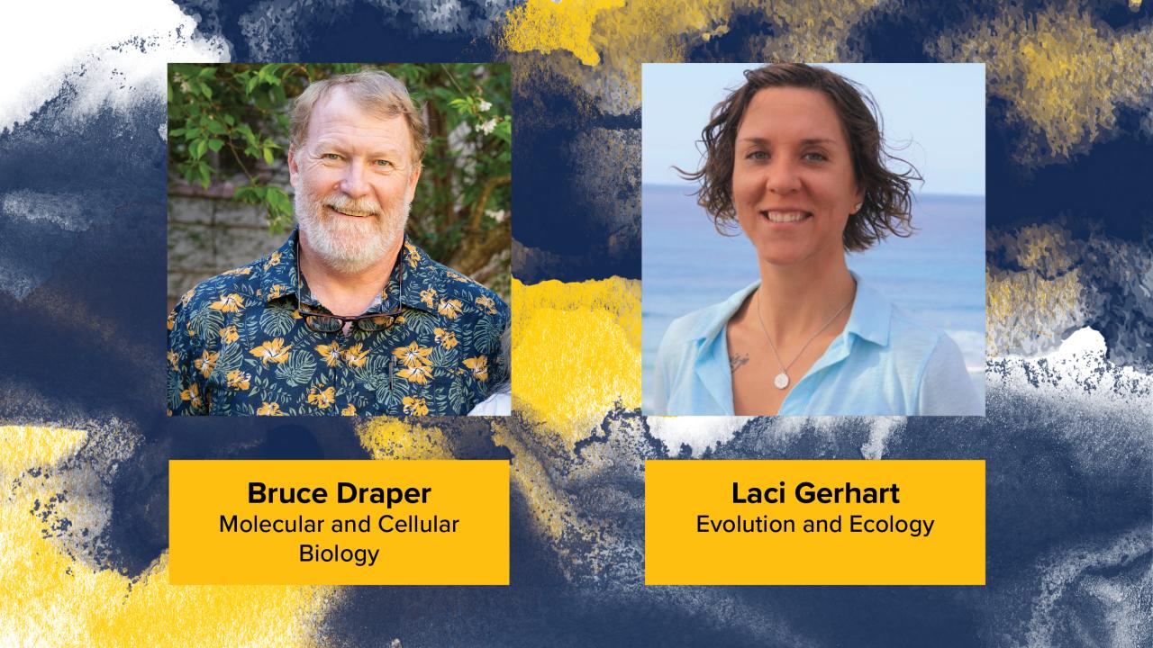 Bruce and Laic headshots on blue and gold graphic background