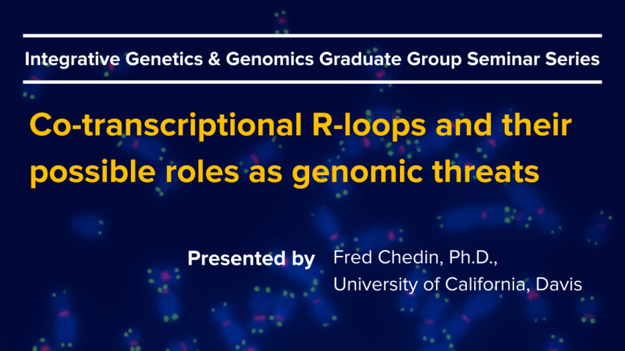 Dark blue graphic with seminar title, speaker name and speaker title