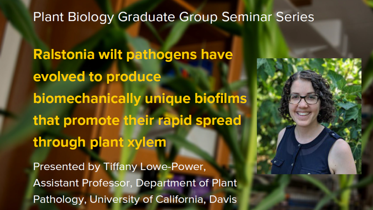 Plant graphic with seminar title and image of the presenter
