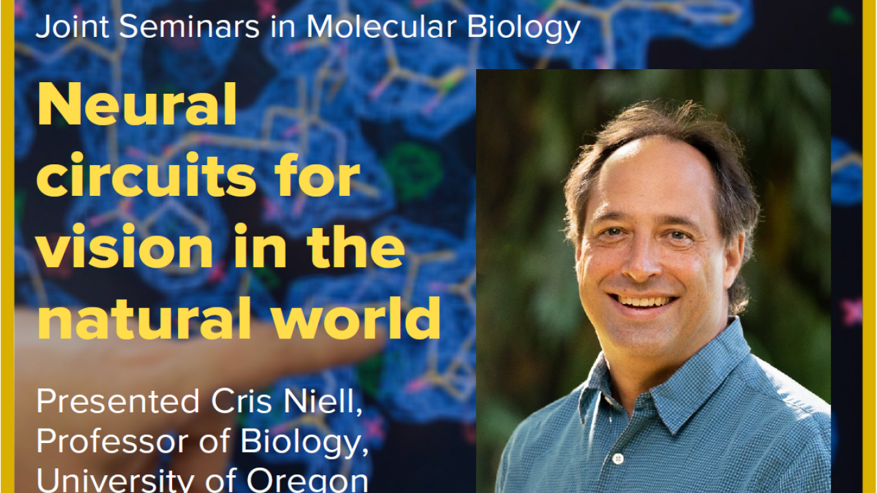 Blue graphic with seminar title, speaker name and title, and speaker photo