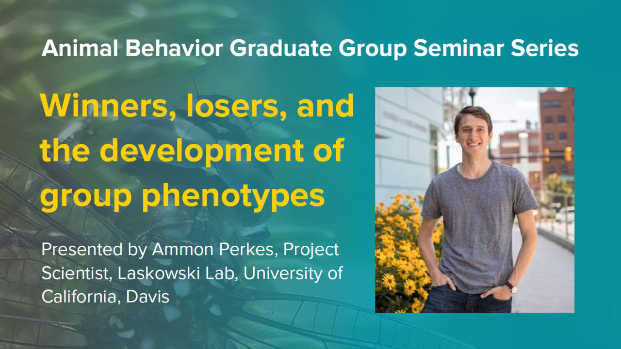 Blue graphic with seminar title, speaker name and title, and speaker photo