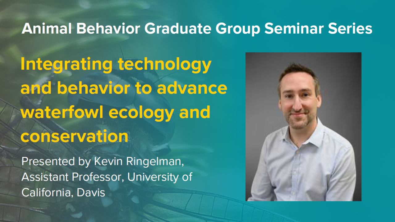 Blue graphic with seminar title, speaker name and title, and speaker photo