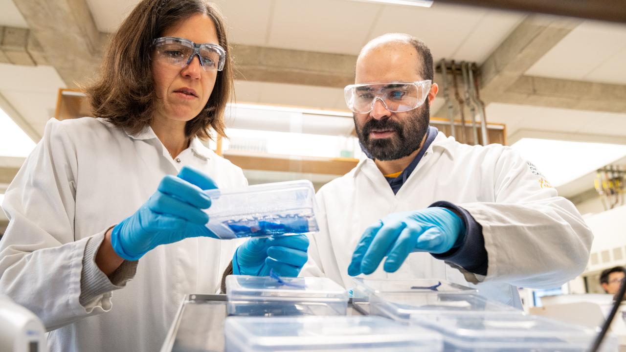 Maria Maldonado, a CAMPOS scholar and assistant professor of plant biology, advocates for equitable opportunities for early-career investigators who have taken non-traditional paths. Maldonado contributed to a paper in PLOS Biology highlighting the benefits of diversifying academia by supporting individuals from underrepresented groups and varied backgrounds. (Sasha Bakhter / UC Davis)