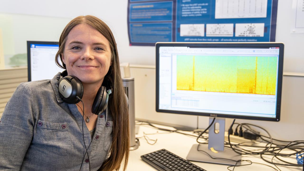 Pictured here, Hubbard with a spectrogram of whale feeding calls. Spectrograms convert audio sounds into visual representations, showing amplitude and frequencies over time. (Sasha Bakhter / UC Davis)  