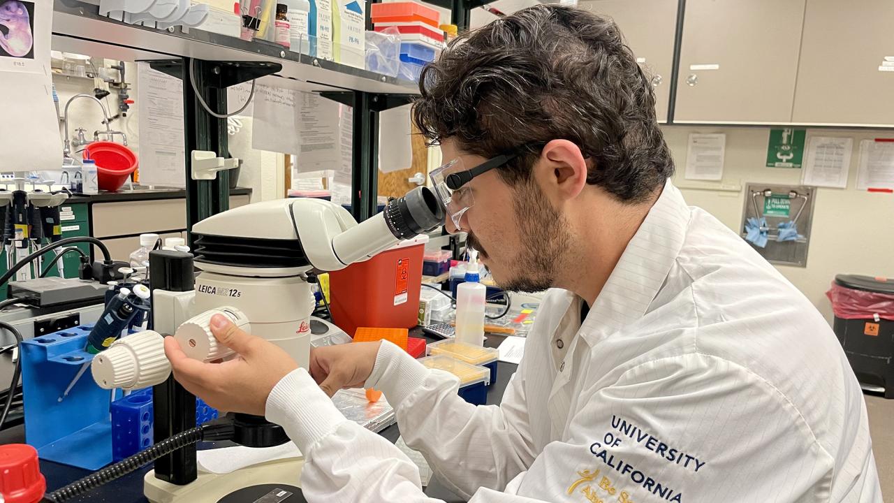 Felipe Méndez-Salcido, M.D., Ph.D., postdoctoral researcher in the Hanks Lab at the Center for Neuroscience and the UC Davis Conte Center, has been named a 2024 Pew Latin American Fellow in the Biomedical Sciences. (Kimberly Cummings/UC Davis)