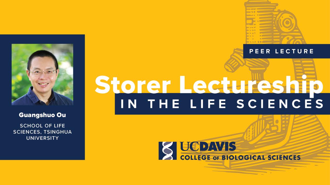 Yellow Storer lecture graphic