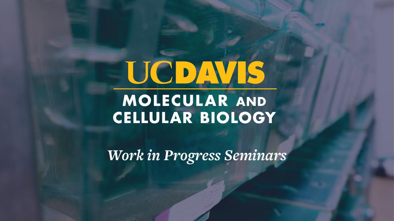 A promotional graphic for UC Davis Molecular and Cellular Biology's 'Work in Progress Seminars.' The background shows rows of laboratory fish tanks containing zebrafish, with the text overlaid in bold yellow and white fonts.