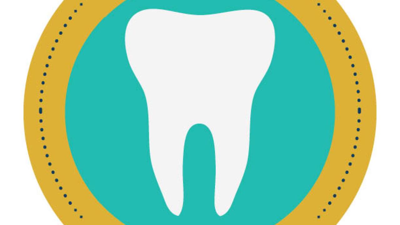2025 Summer Pre-Dental Bootcamp flyer