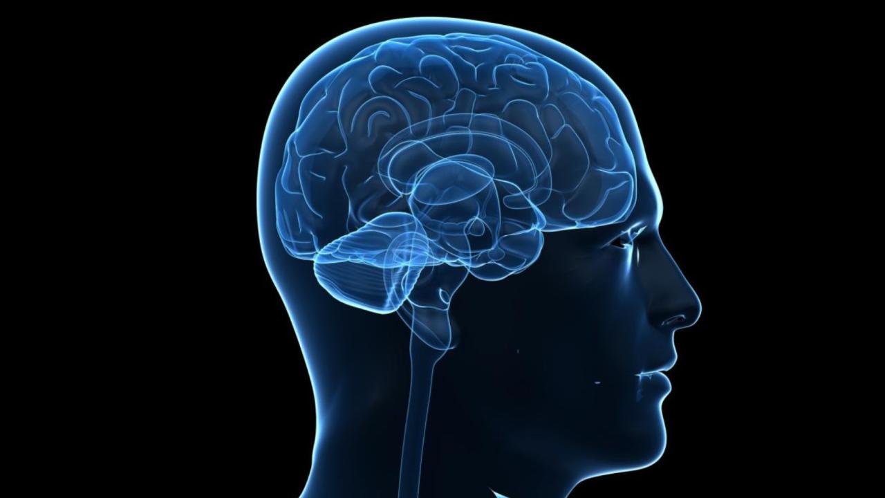 A side-view digital illustration of a human head showing a translucent profile with an anatomically detailed brain highlighted in blue against a black background.