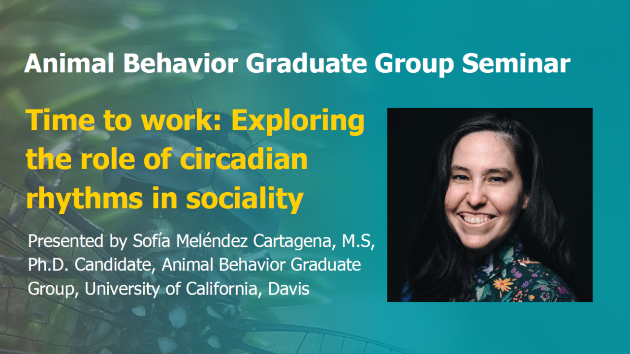 Blue graphic with seminar title, speaker name and title, and speaker photo