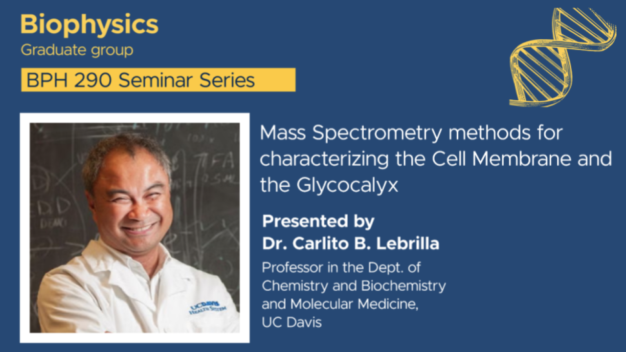 Blue graphic with seminar title, speaker name and title, and speaker photo