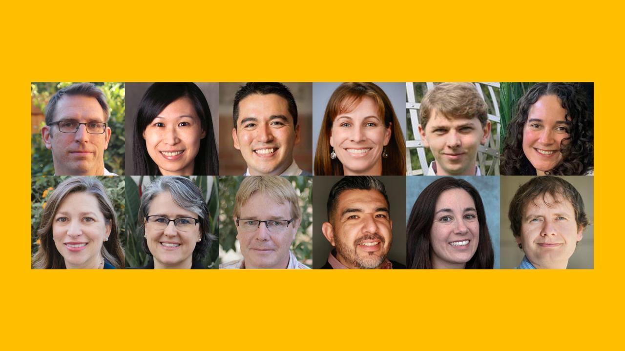 Chancellor fellows