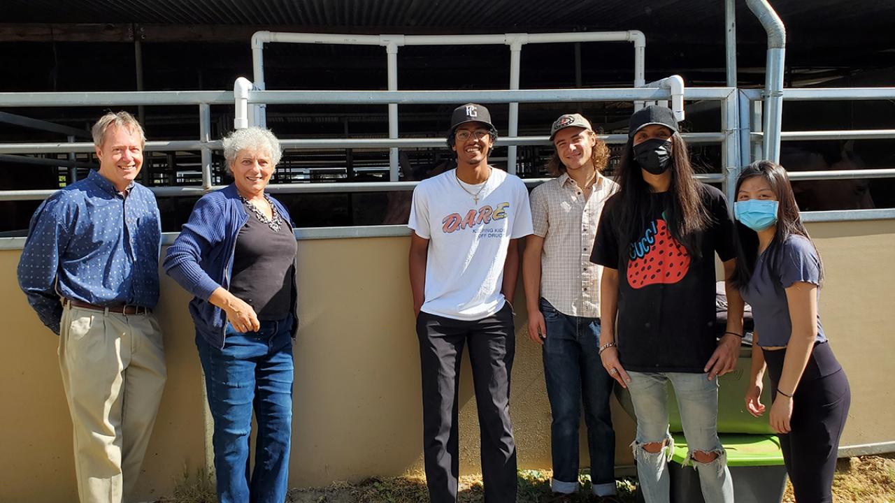 Group of people standing next to a horse stall