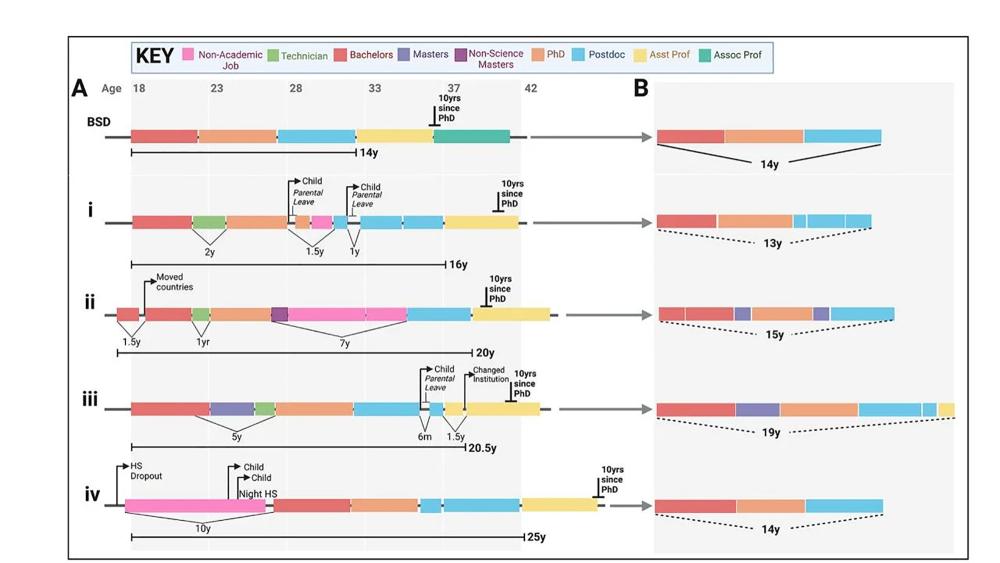 Comparing a traditional academic career path or BSD ('Big Shining Doctorate') with the real-life careers of four investigators. In a new perspective article, the four argue for more recognition of non-traditional, non-linear careers by funding agencies and university hiring committees.