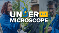 UC Davis scientists examine plants in lab and field with text overlay: Under the Microscope—The Future of Food.