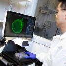 Chang-il Hwang and organoid
