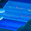 Genome sequencing