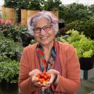 For her long-term contributions to the plant biology field, Sinha was recently honored by the American Society of Plant Biologists (ASPB) with a Fellow of ASPB Award, which recognizes distinguished members who have contributed to the society for at least 10 years. 