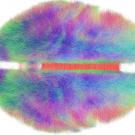 Big data visualization techniques like this connectome—a computer-generated map of the brain pathways of 20 humans—inform neuroscience and help create models of complex biological systems. Andreas Horn/Max Planck Institute for Human Development