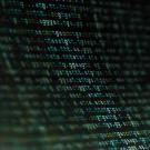 Sequenced DNA