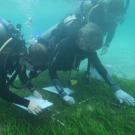 UC Davis researchers monitor seagrass in South Sulawesi, Indonesia (left to right: Jordan Hollarsmith, Susan Williams, Katie DuBois). Christine Sur