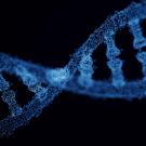 Graphic rendering of DNA helix