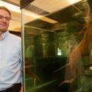 Peter Wainwright standing beside aquarium containing a lungfish