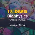 BPH Seminar Series Banner with Colorful Background