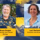 Bruce and Laic headshots on blue and gold graphic background