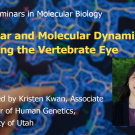 Blue graphic with seminar title, speaker name and title, and speaker photo