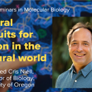 Blue graphic with seminar title, speaker name and title, and speaker photo
